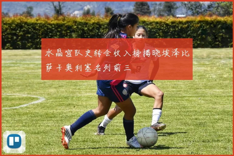 水晶宫队史转会收入榜揭晓埃泽比萨卡奥利塞名列前三