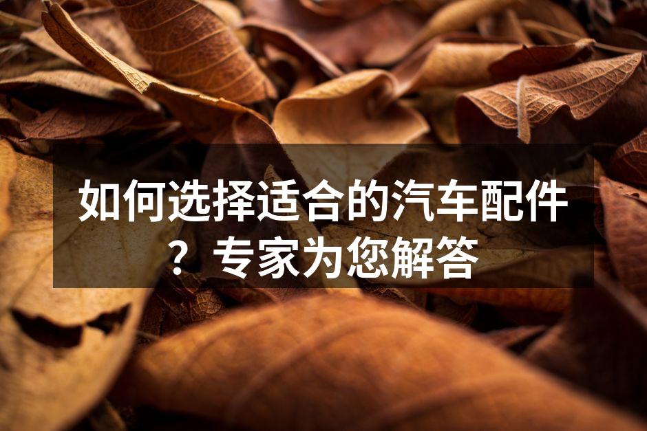 汽车配件展示