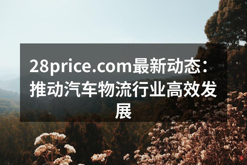 28price.com推动汽车物流效率提升