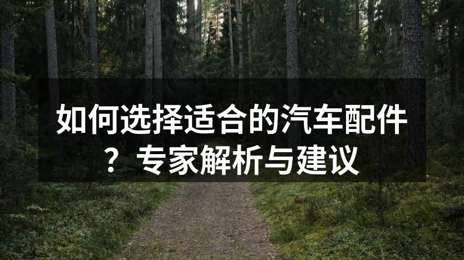 汽车配件选择指南